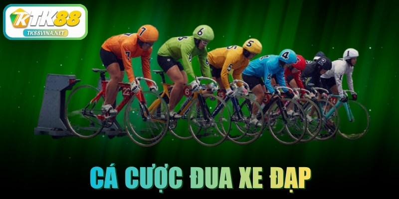 Cá Cược Đua Xe Đạp