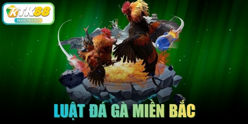 Luật Đá Gà Miền Bắc