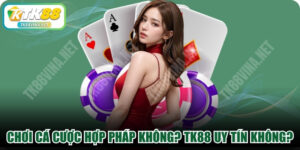 Chơi Cá Cược Hợp Pháp Không