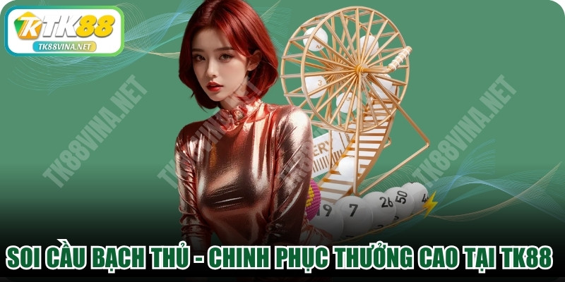 Soi Cầu Bạch Thủ